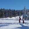 Skijanje Rogla