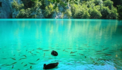 Plitvice Lakes Group Tour from Zagreb with entrance ticket included