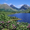 Škotska
